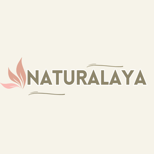 My Store